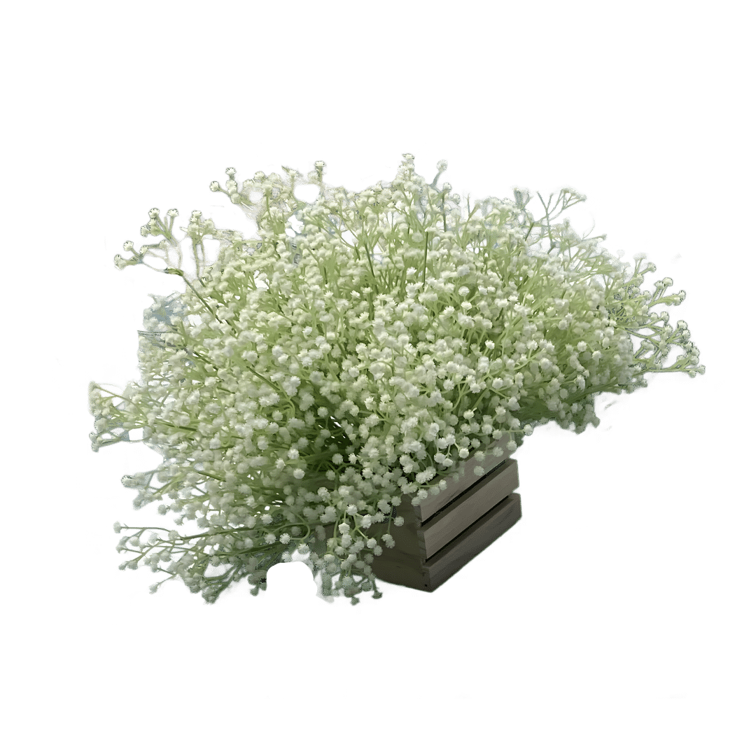 babys breath basket
